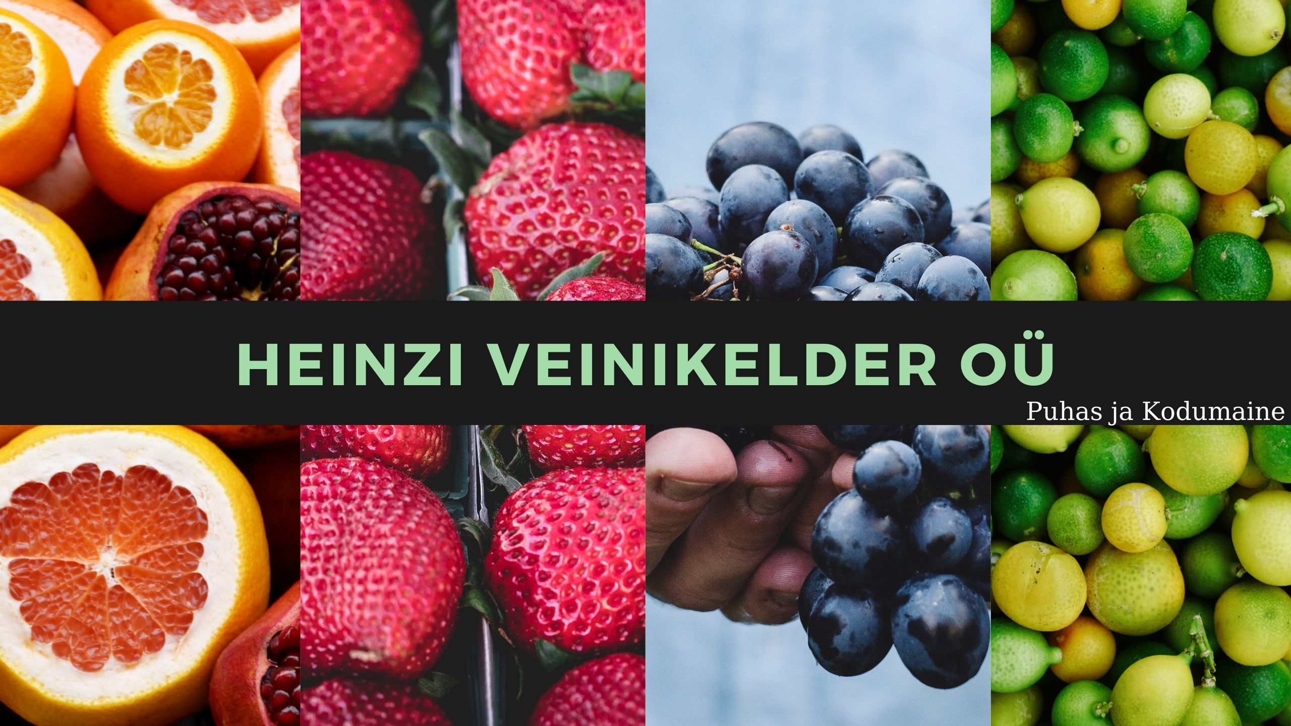 Read more about the article HEINZI VEINIKELDER